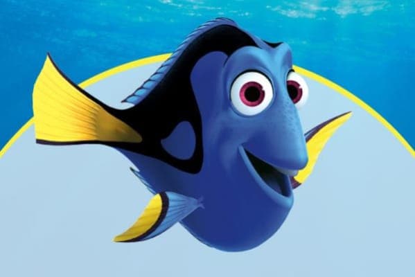 Finding Dory